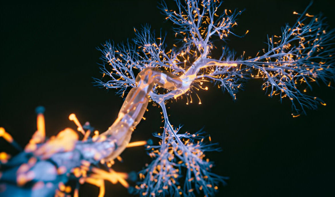 Motor Neuron Disease